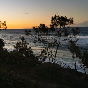 Meet your Posher, Cyndi